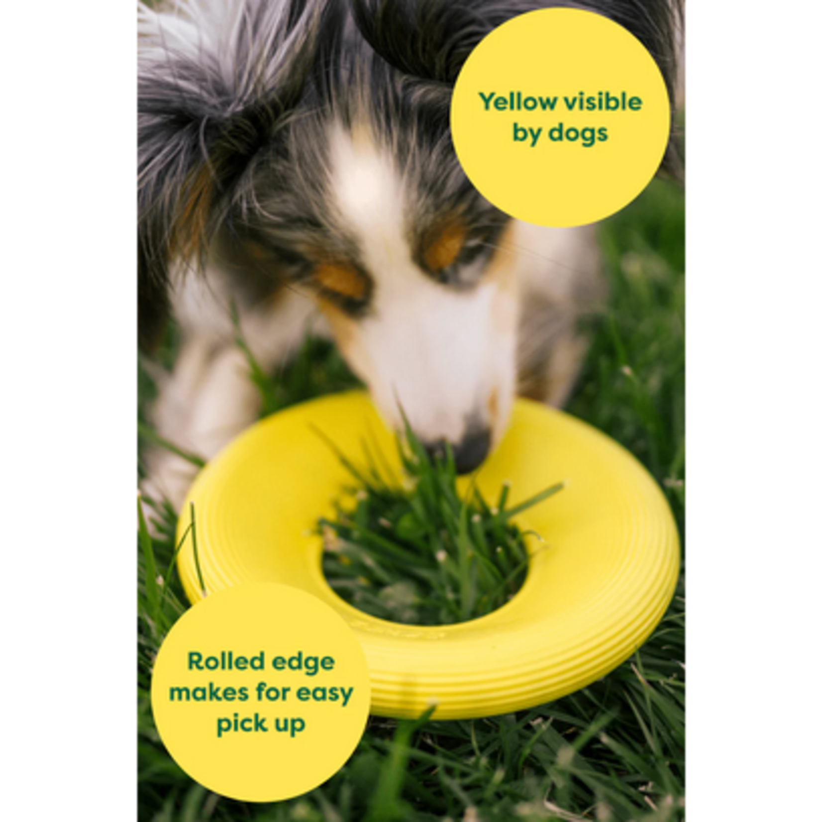 Earth Rated EARTH RATED Dog Flyer Toy SM