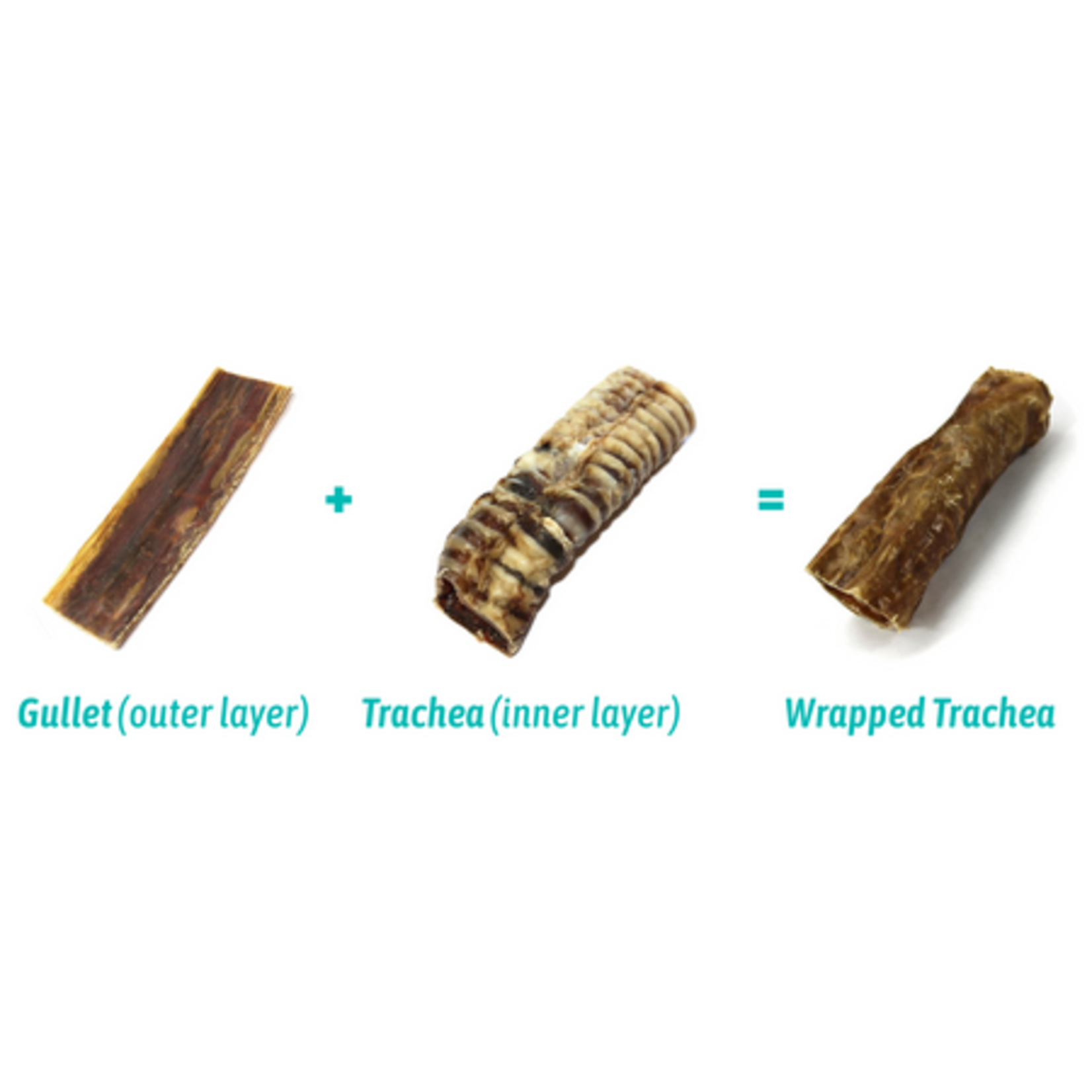 Tuesday's Natural Dog Company TUESDAY'S GULLET WRAPPED BEEF TRACHEA - 6"