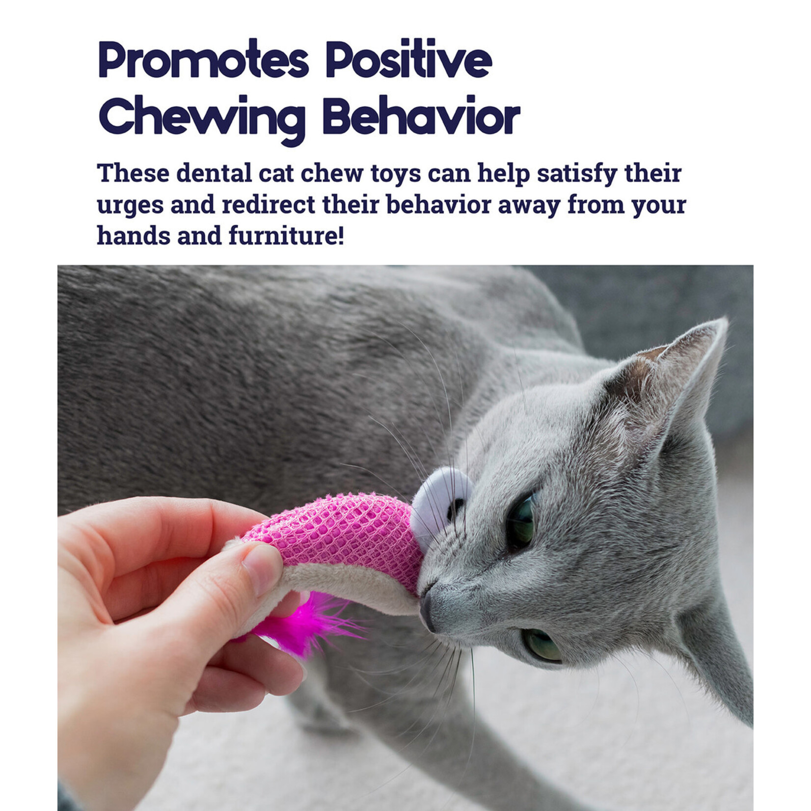 Outward Hound CATSTAGES Dental Shrimpies Cat Toy 2pk