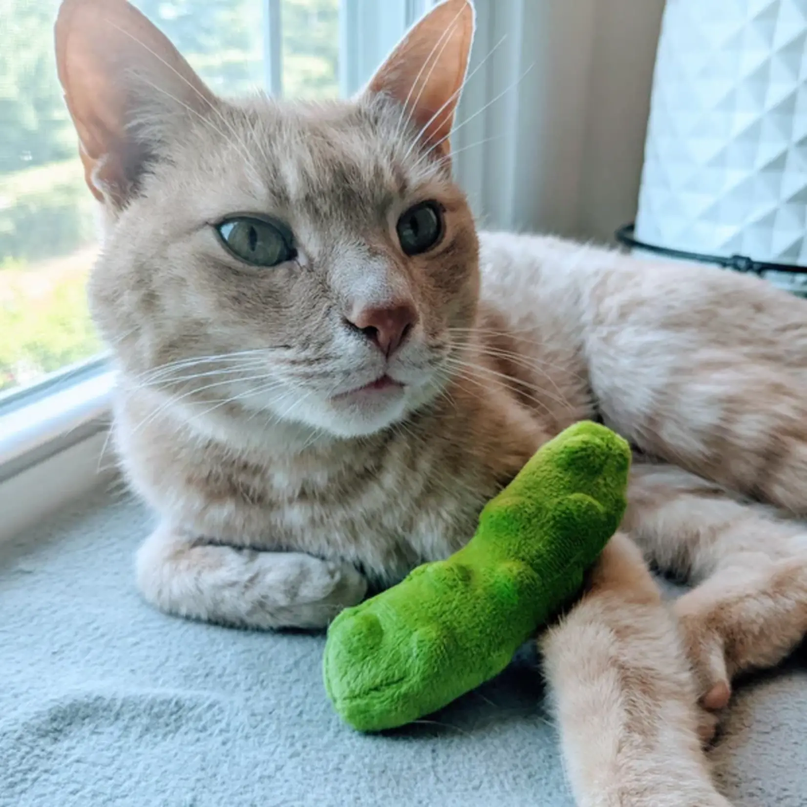Huxley & Kent KITTYBELLES Pickle Plush Cat Toy