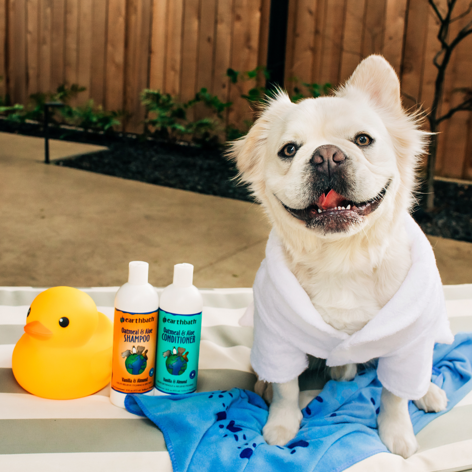 Earthbath EARTHBATH Oatmeal & Aloe Dog Shampoo 16oz