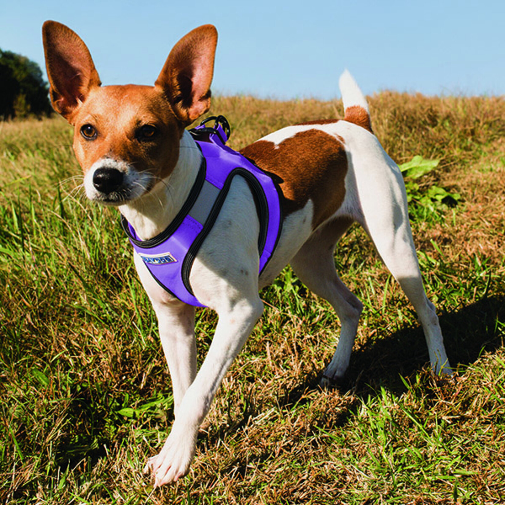 Baydog BAYDOG Liberty Bay Harness