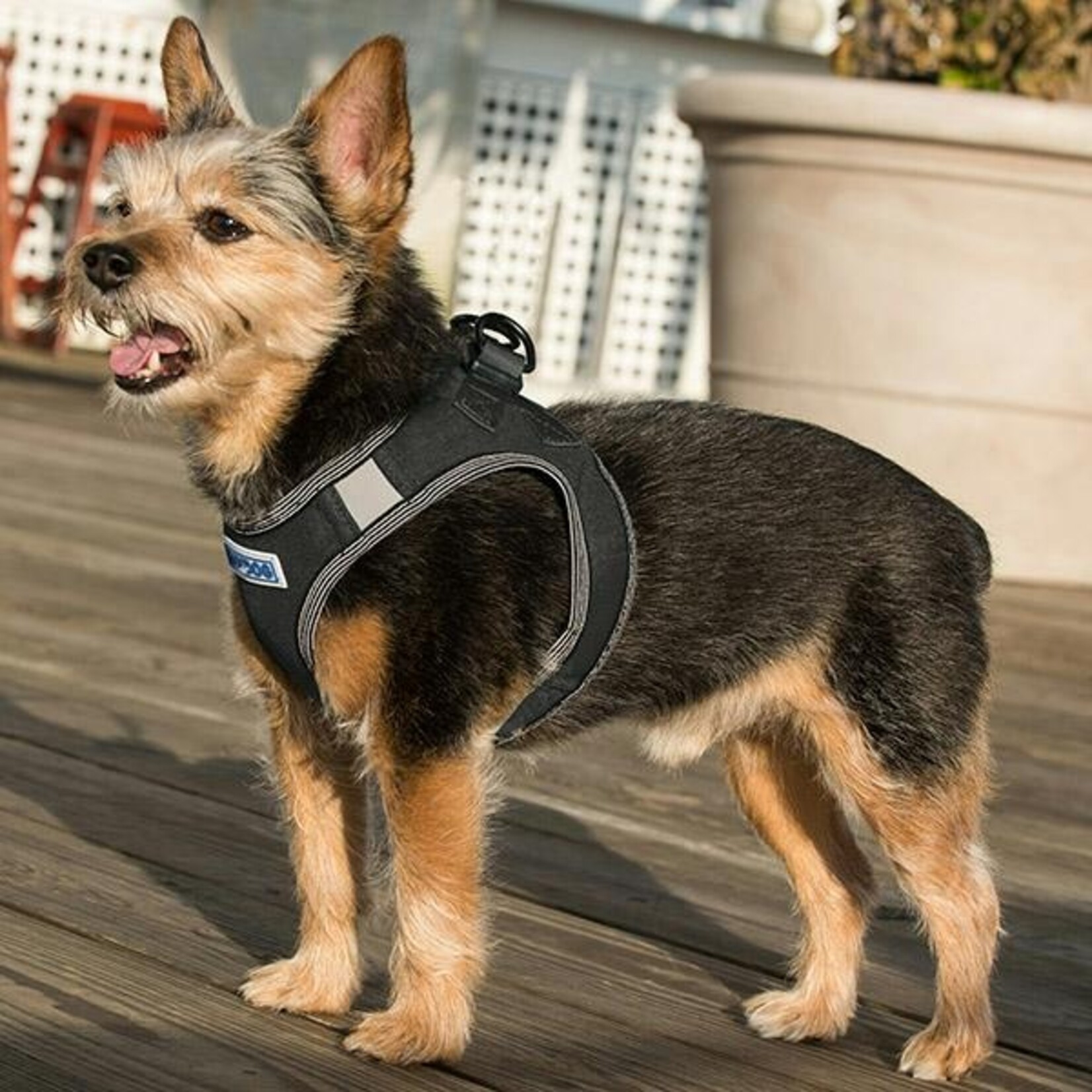 Baydog BAYDOG Liberty Bay Harness