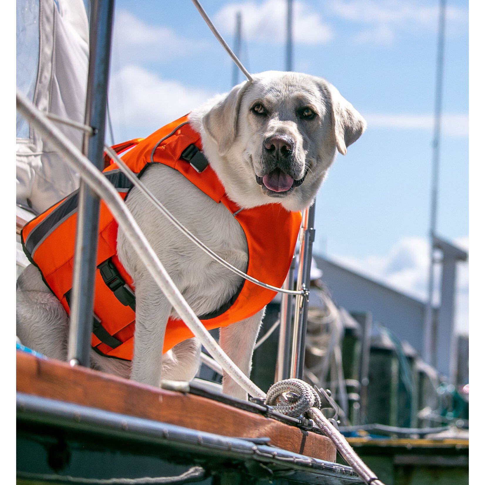 Baydog BAYDOG Monterey Bay Life Jacket Orange