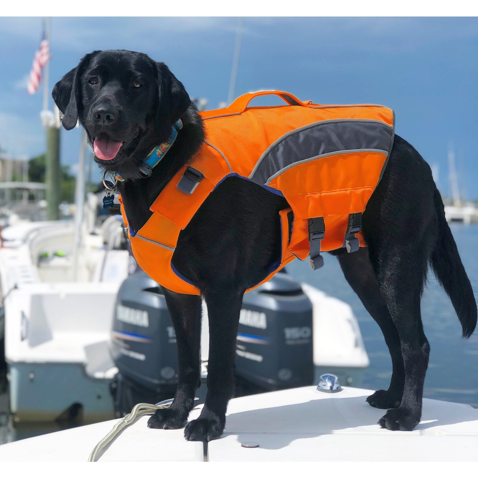 Baydog BAYDOG Monterey Bay Life Jacket Orange