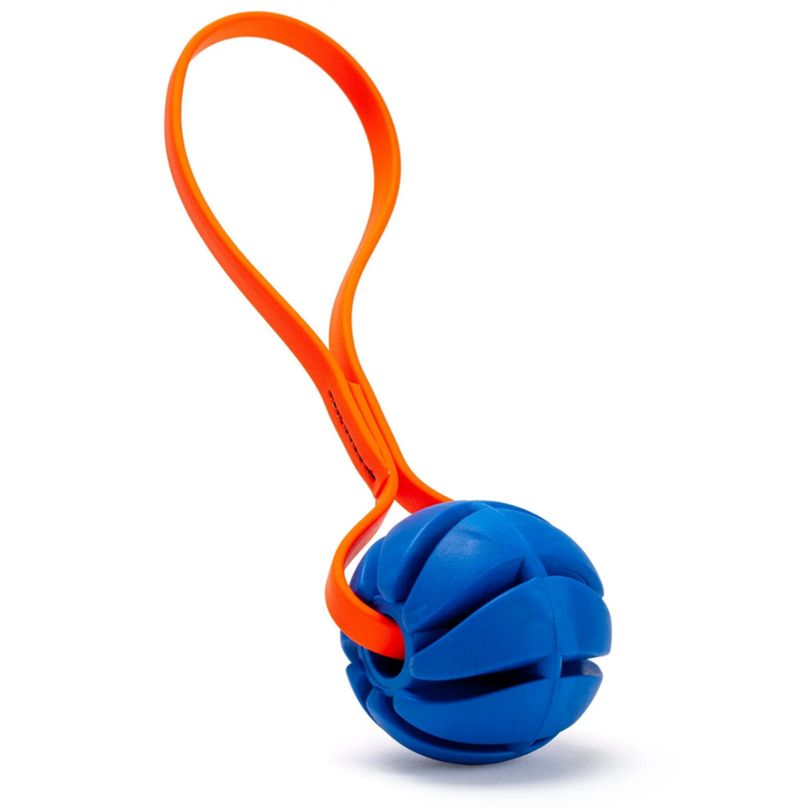 Dogline Dogline Spiral Ball w/ Strap