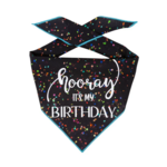 Paisley Paw Designs PPD Hooray It's My Birthday Bandana Black