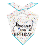 Paisley Paw Designs PPD Hooray It's My Birthday Bandana White