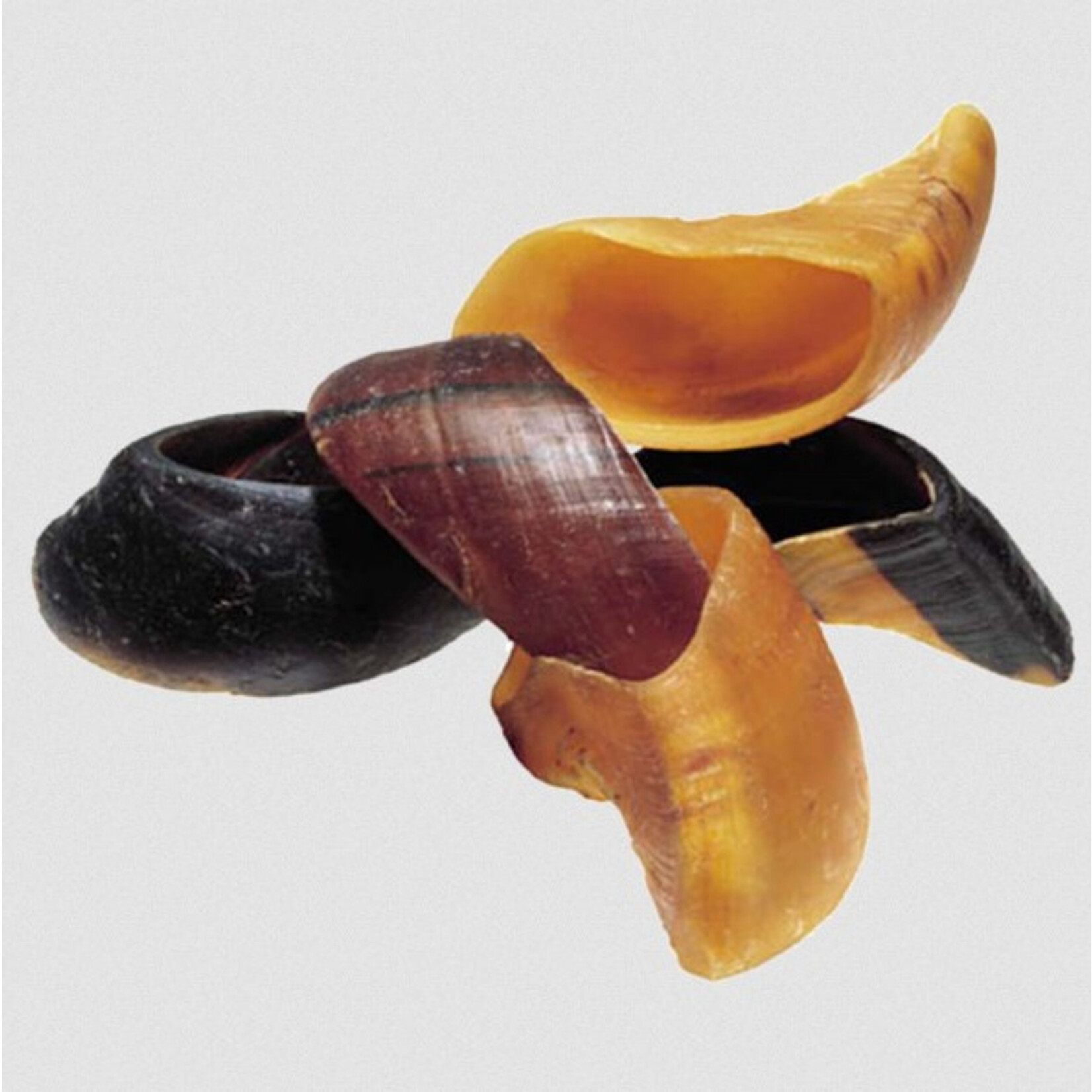 RedBarn REDBARN Cow Hoof Single