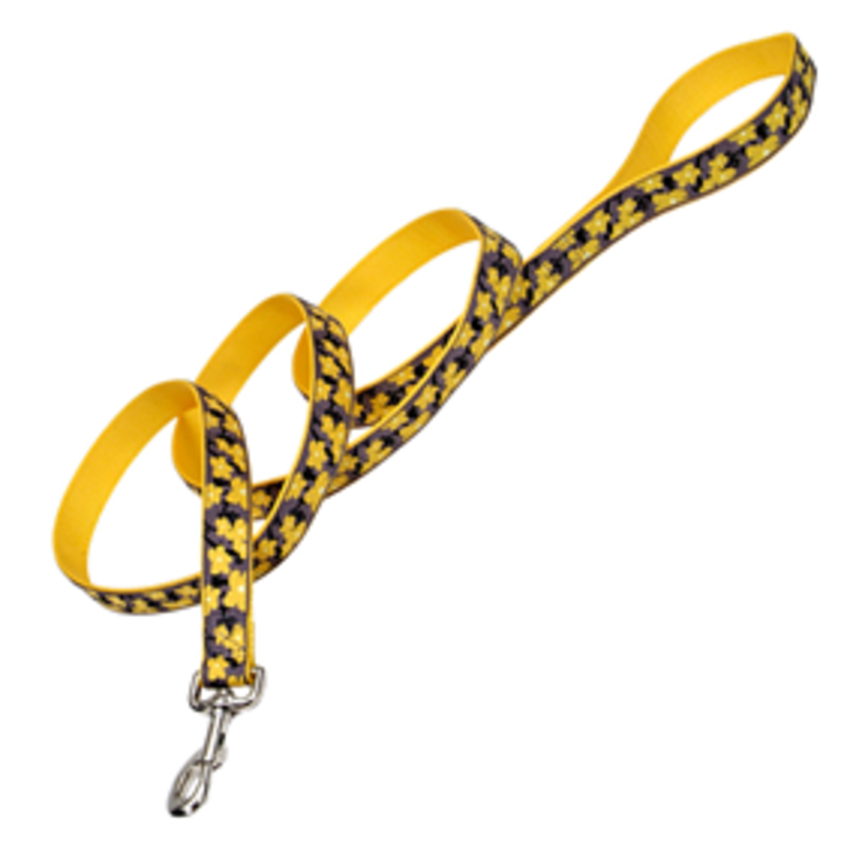 Coastal Pet Products COASTAL 6ft Ribbon Leash