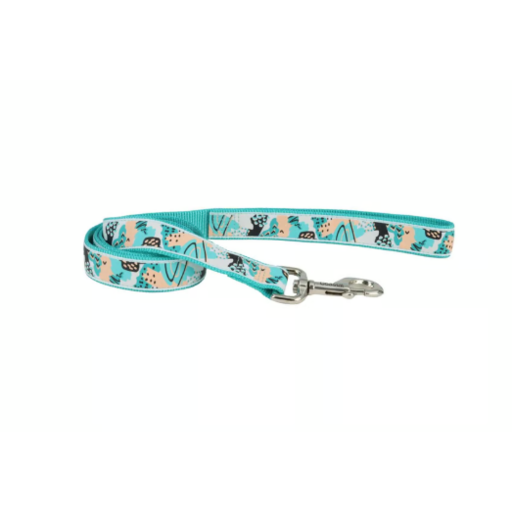 Coastal Pet Products COASTAL 6ft Ribbon Leash