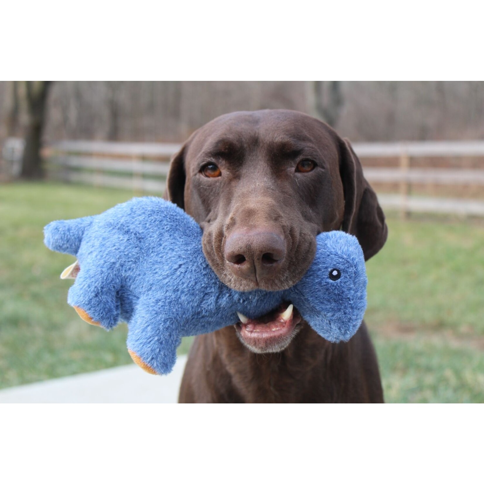 Territory TERRITORY Plush Brontosaurus Dog Toy 9"