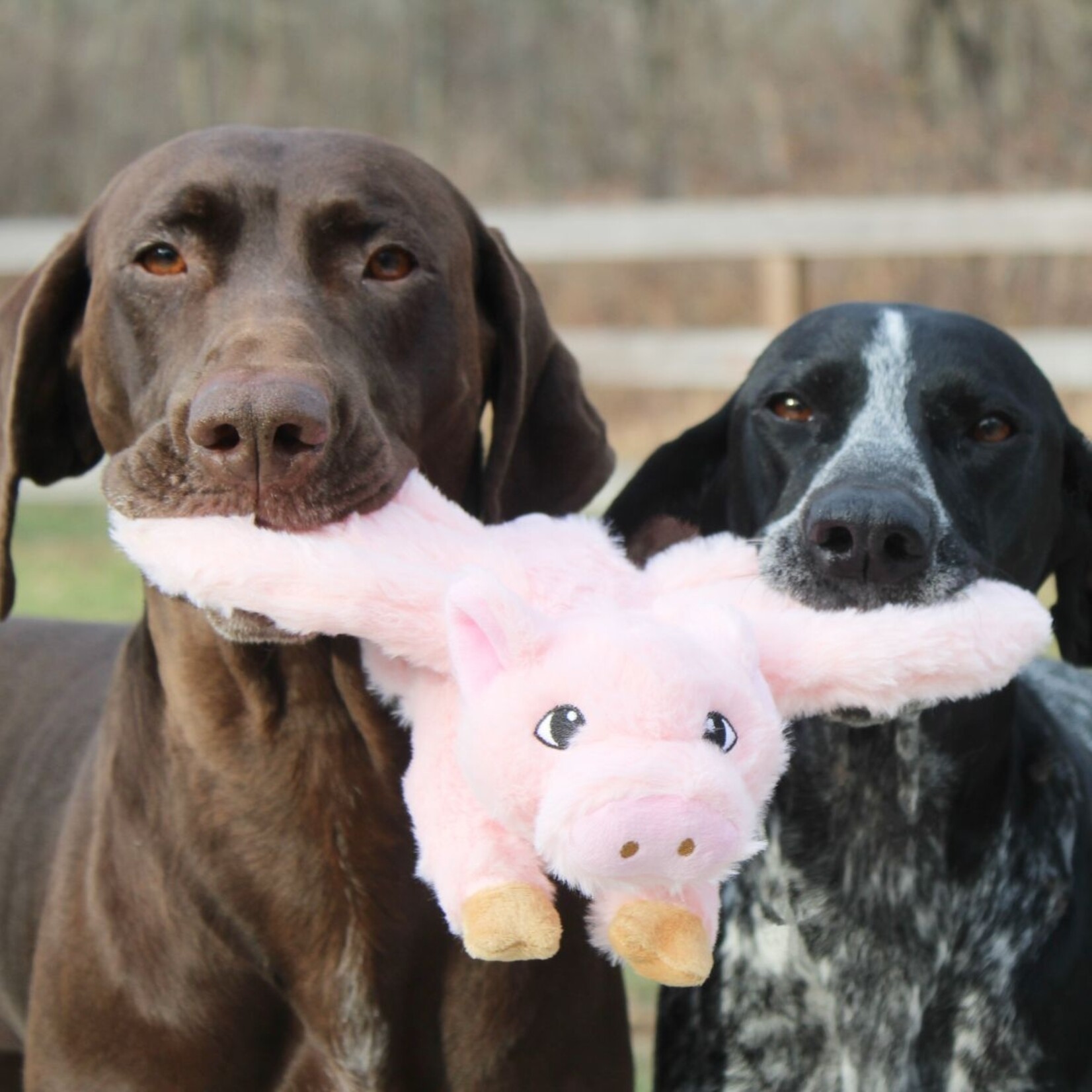 Tall Tails TALL TAILS Plush Flying Pig Dog Toy 12"