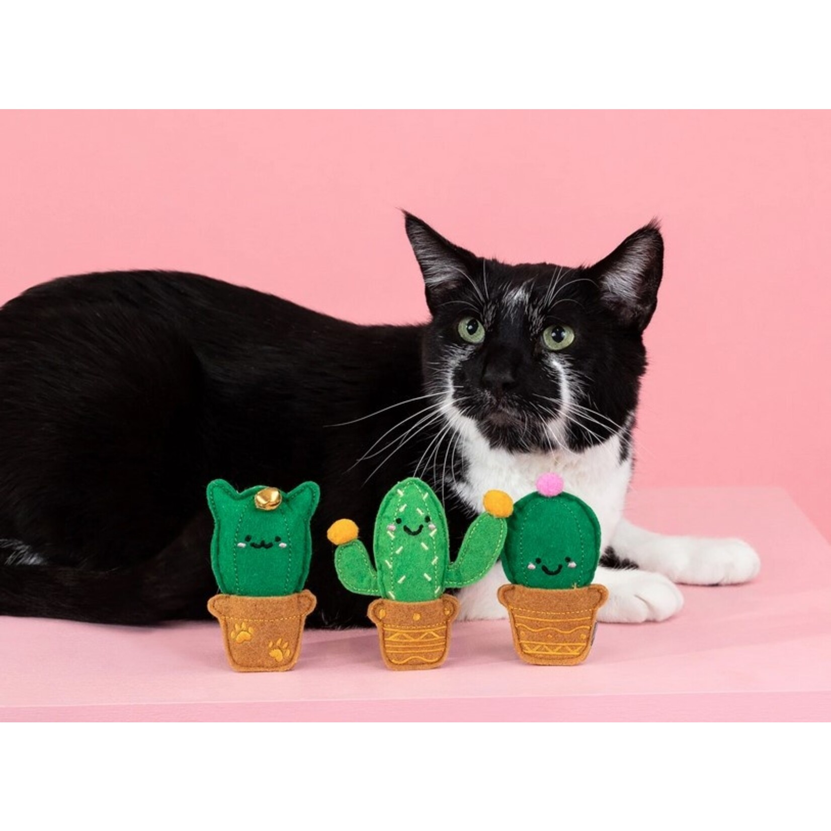 Fringe FRINGE Cat-Us Friends Cat Toy 3pk