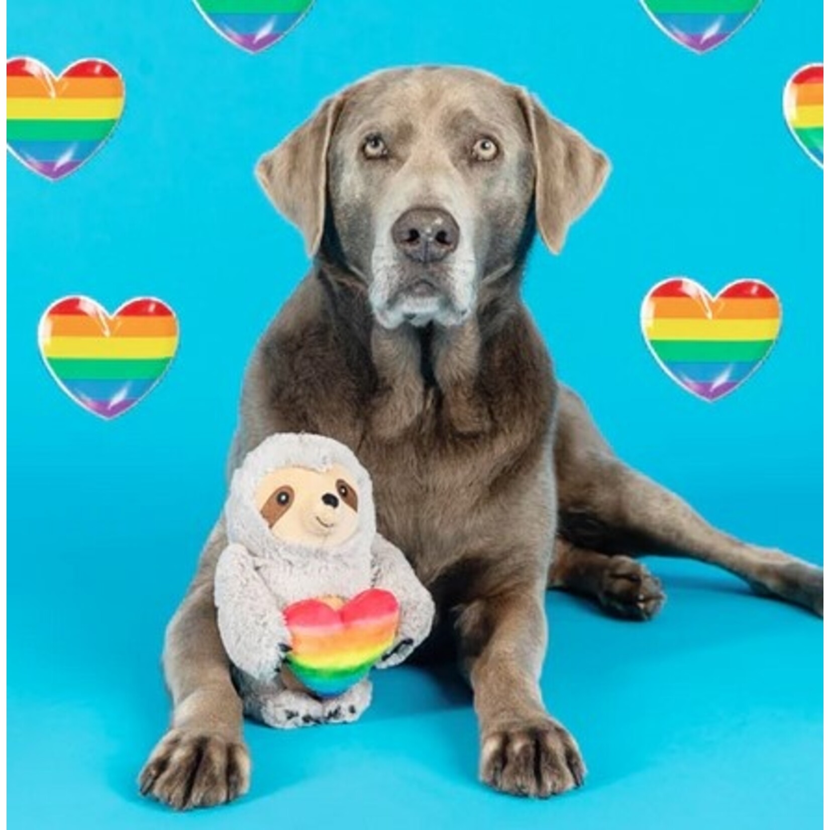 Fringe FRINGE Follow Your Rainbow Plush Dog Toy