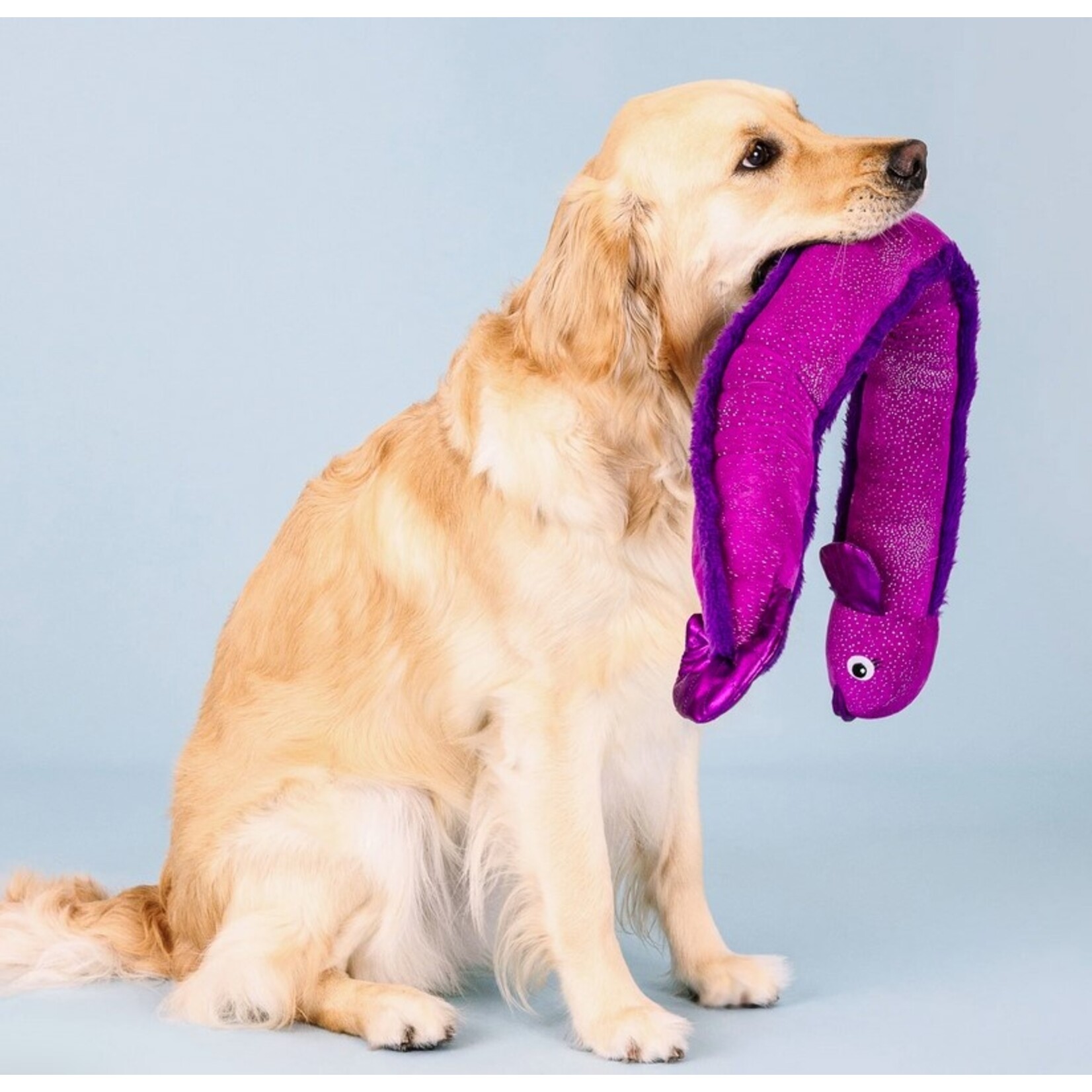Fringe FRINGE Kind of a Big Eel Plush Dog Toy