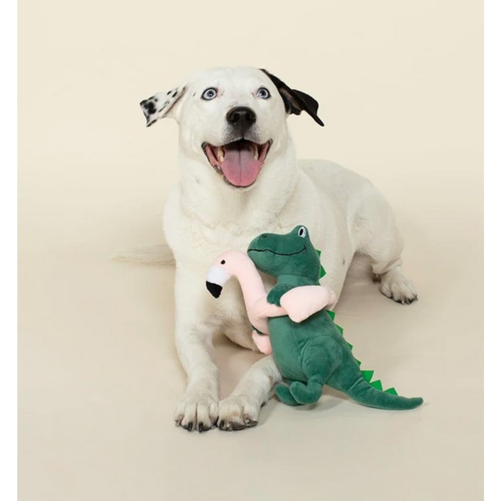 Fringe FRINGE Pool Time Rex Plush Dog Toy