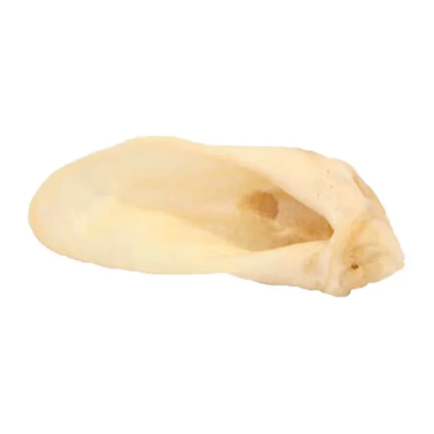 Pet Pros Choice PPC Lamb Ear Single