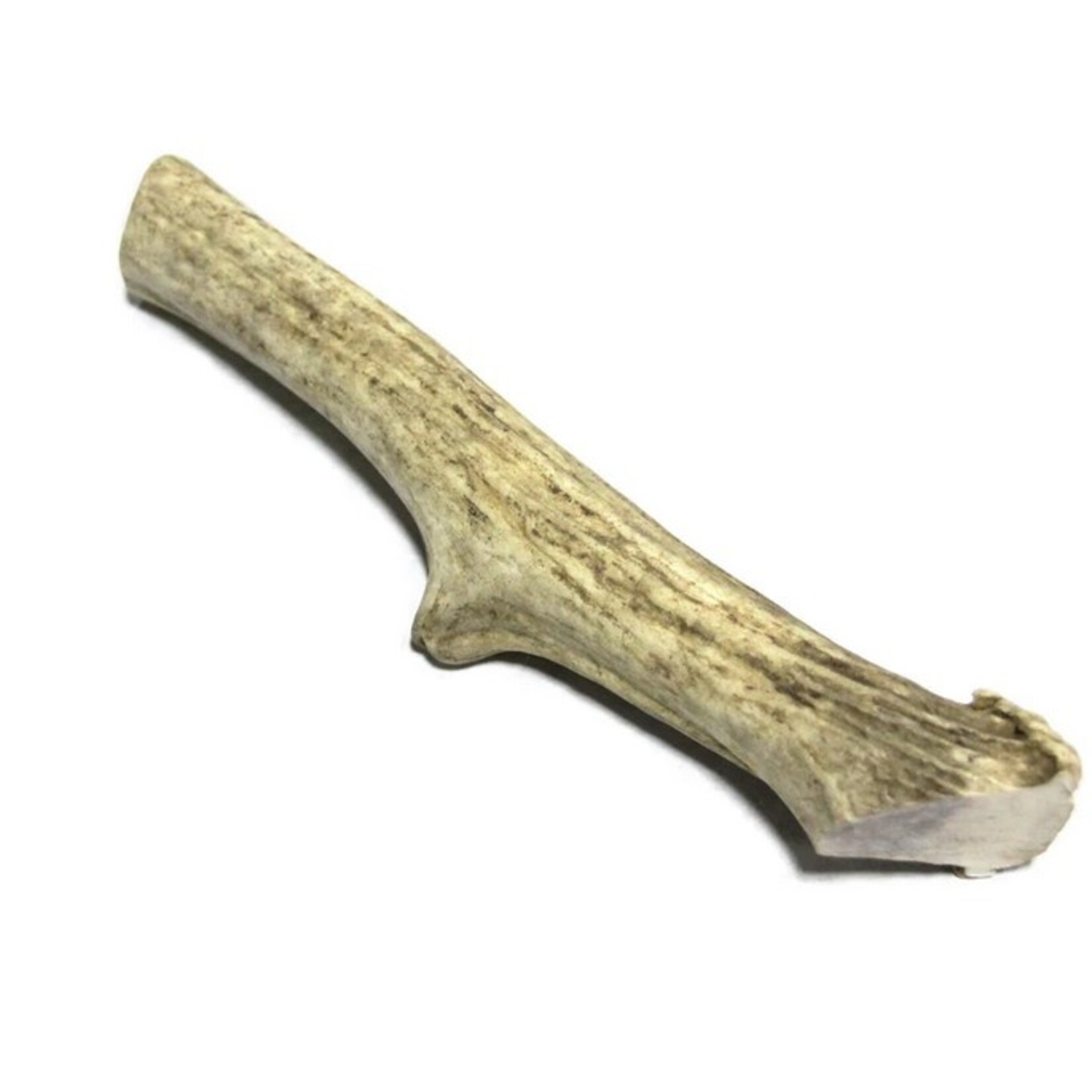 Tuesday's Natural Dog Company TUES NATURAL DOG CO Whole Elk Antler Med