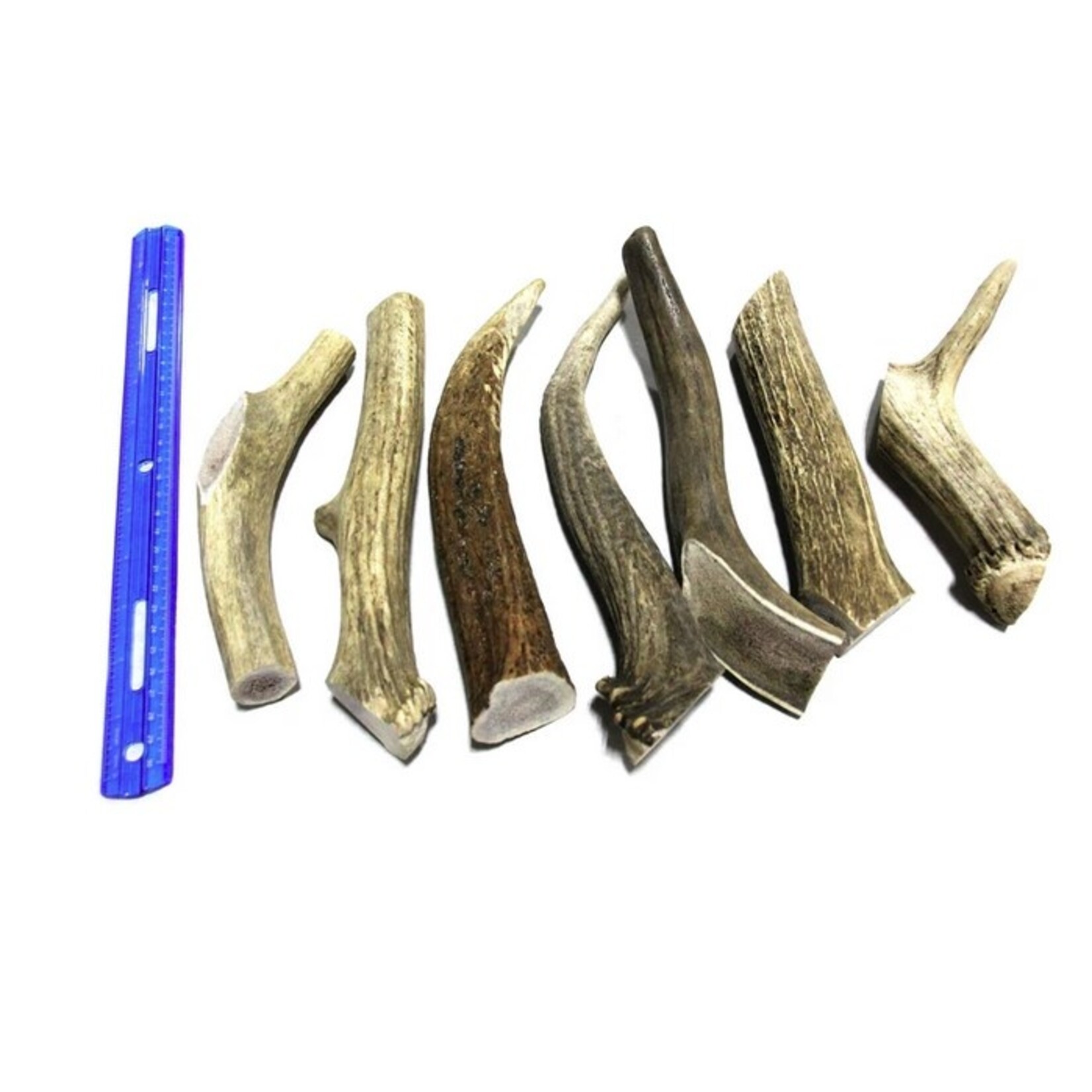 Tuesday's Natural Dog Company TUES NATURAL DOG CO Whole Elk Antler Med