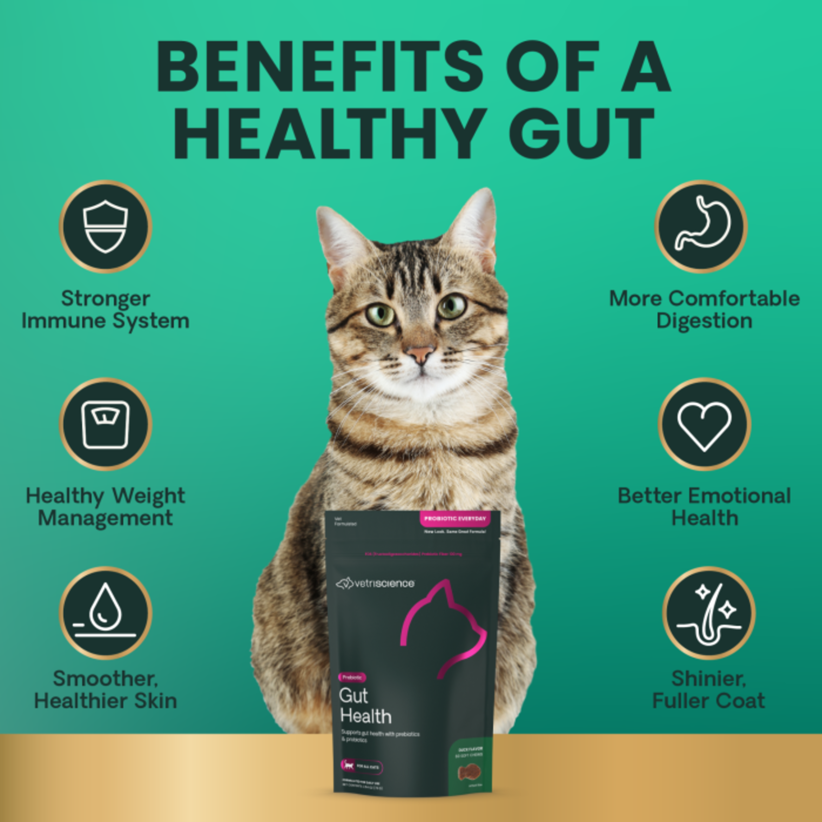 Pet Naturals / VetriScience VETRI Probiotic Cat Supplement Chews 60ct