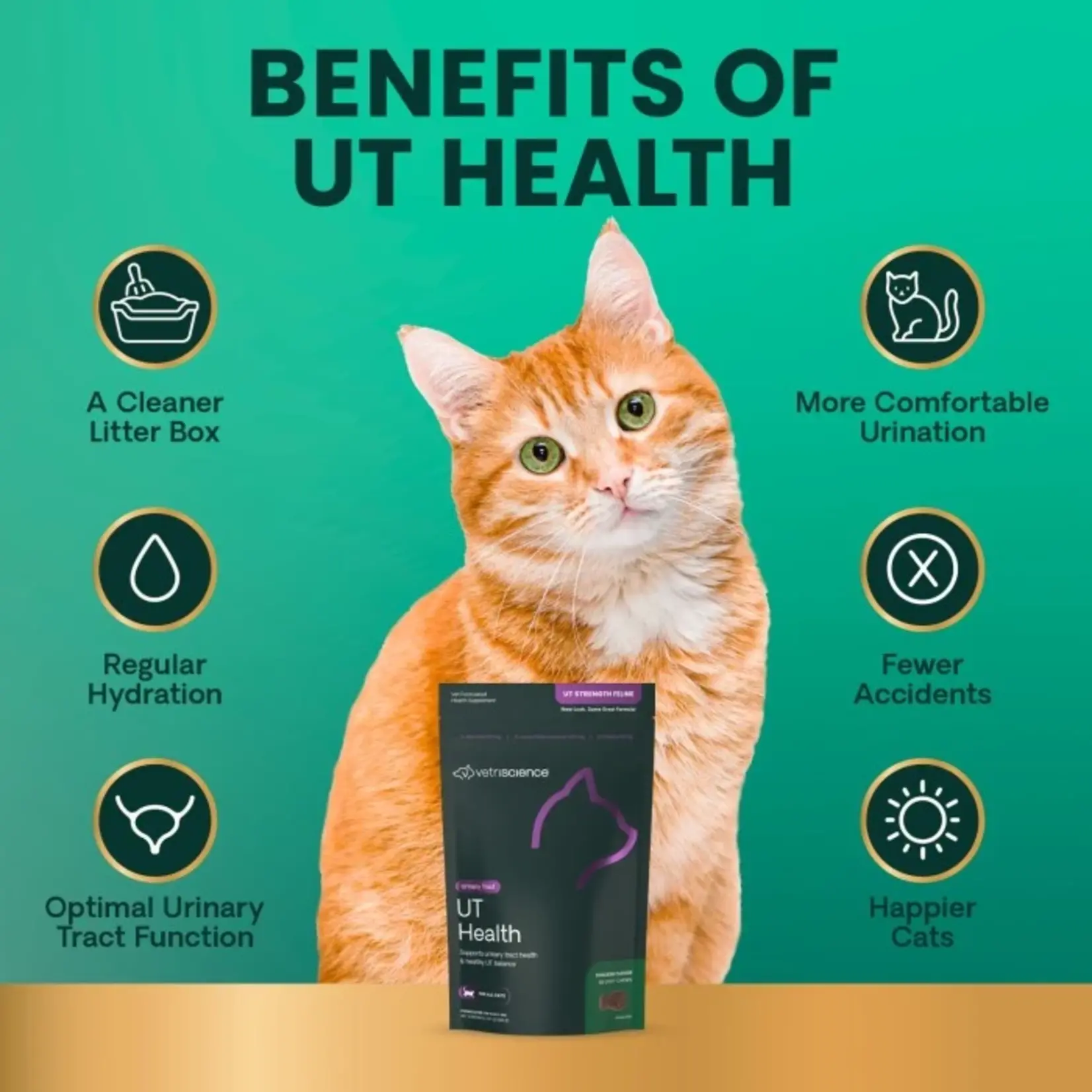 Pet Naturals / VetriScience VETRI UT Strength Cat Supplement Chews 60ct