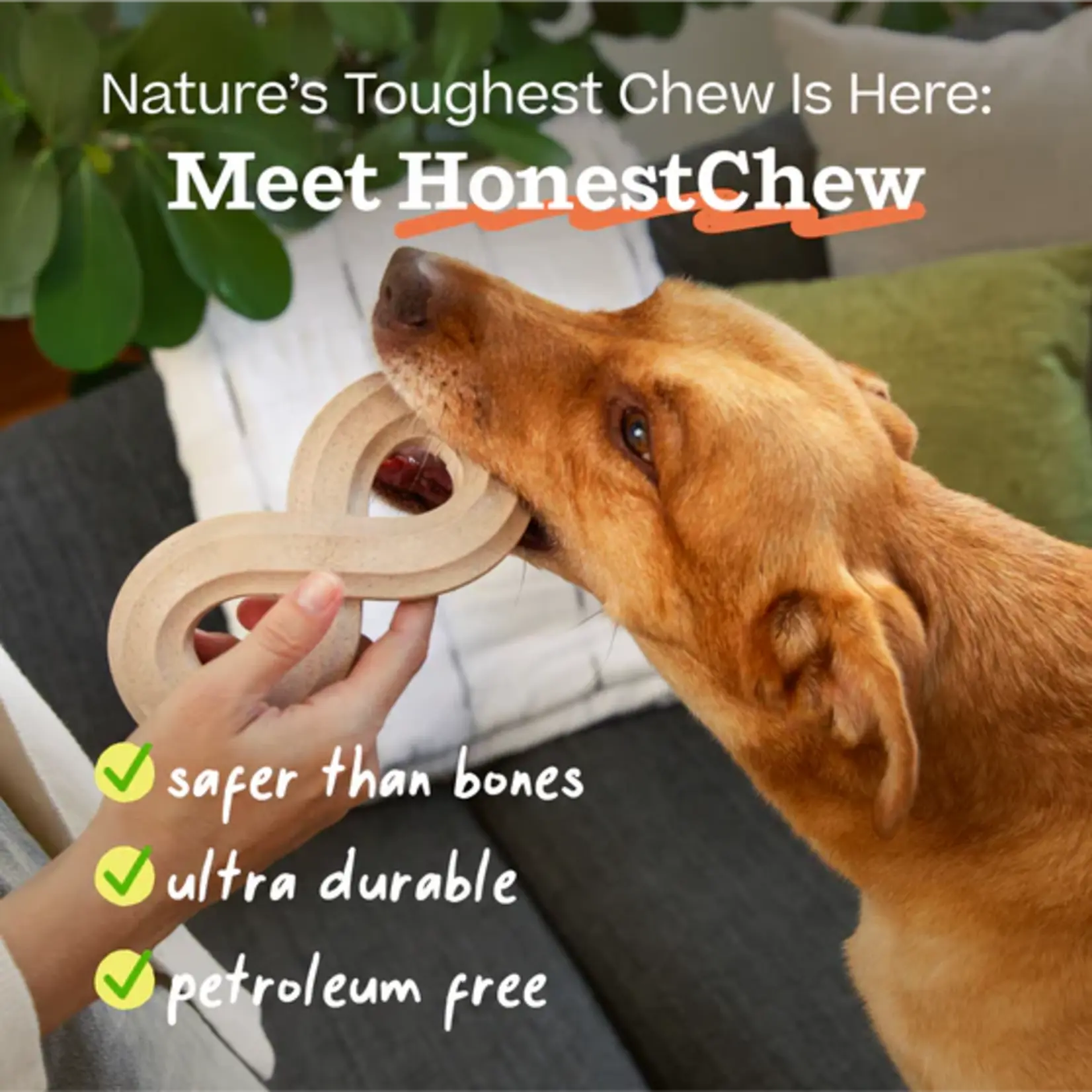 Woof Pet Woof HonestChew Infinity Bone All-Natural Food Grade Dog Chew Toy, Medium