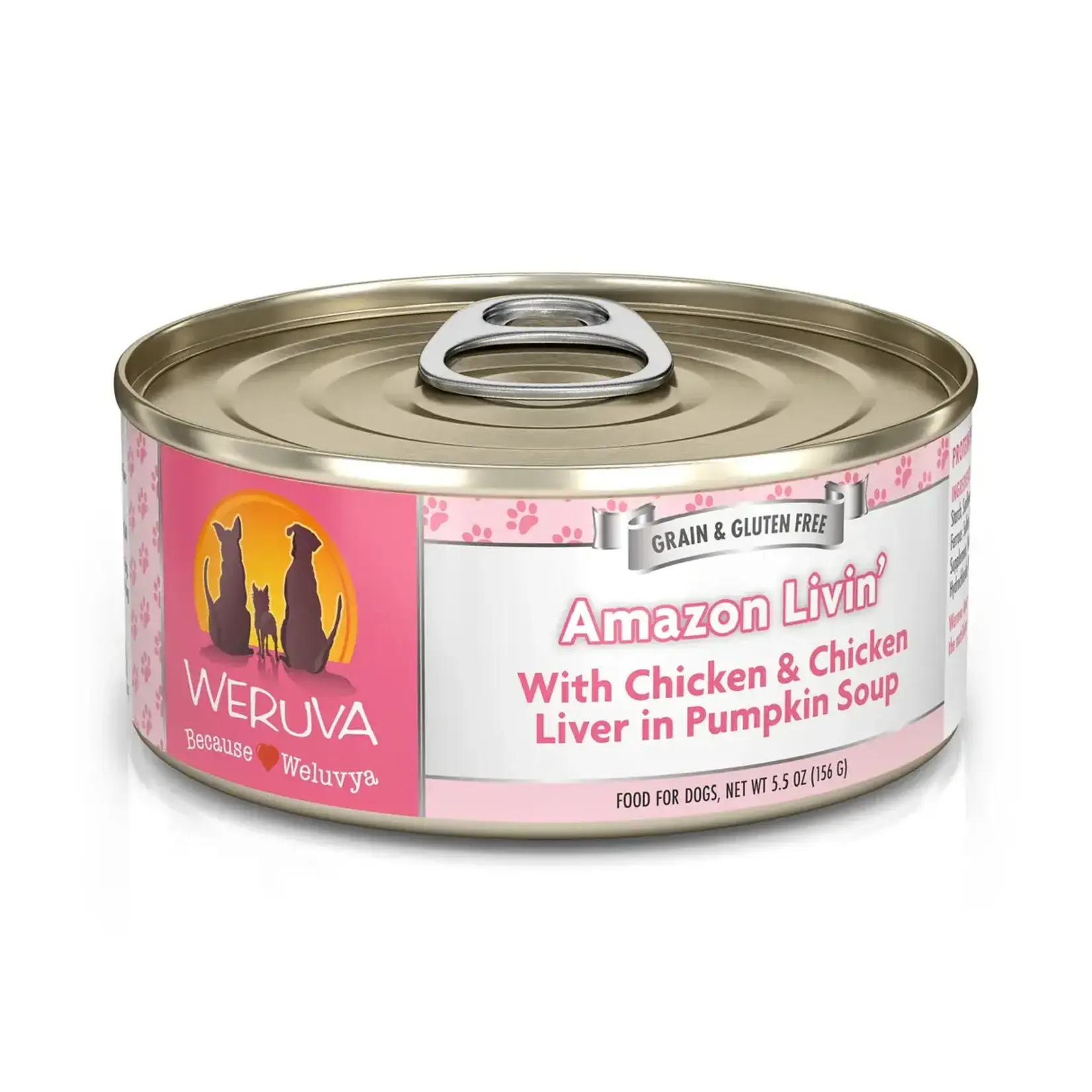 Weruva Weruva Amazon Livin' Chicken & Chicken Liver in Pumpkin Soup Wet Dog Food 5.5 oz