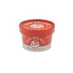 Swell Gelato Swell Gelato Frozen Banana Peanut Butter Premium Dog Treat 4 oz