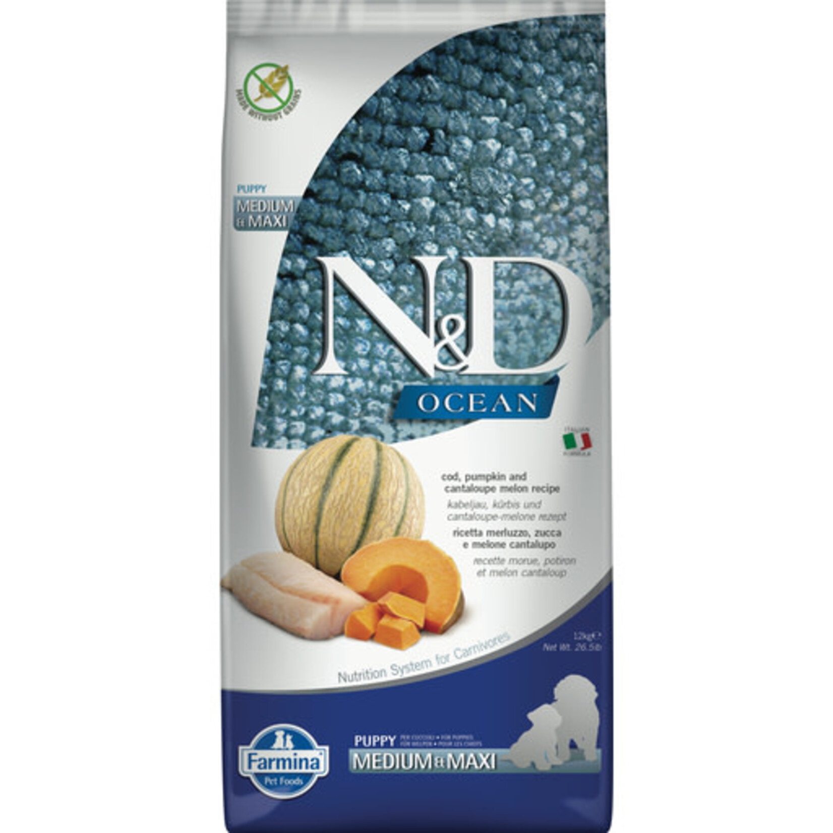 Farmina Farmina N&D Ocean Cod, Pumpkin, & Cantaloupe Puppy Medium & Maxi Dry Dog Food 5.5#