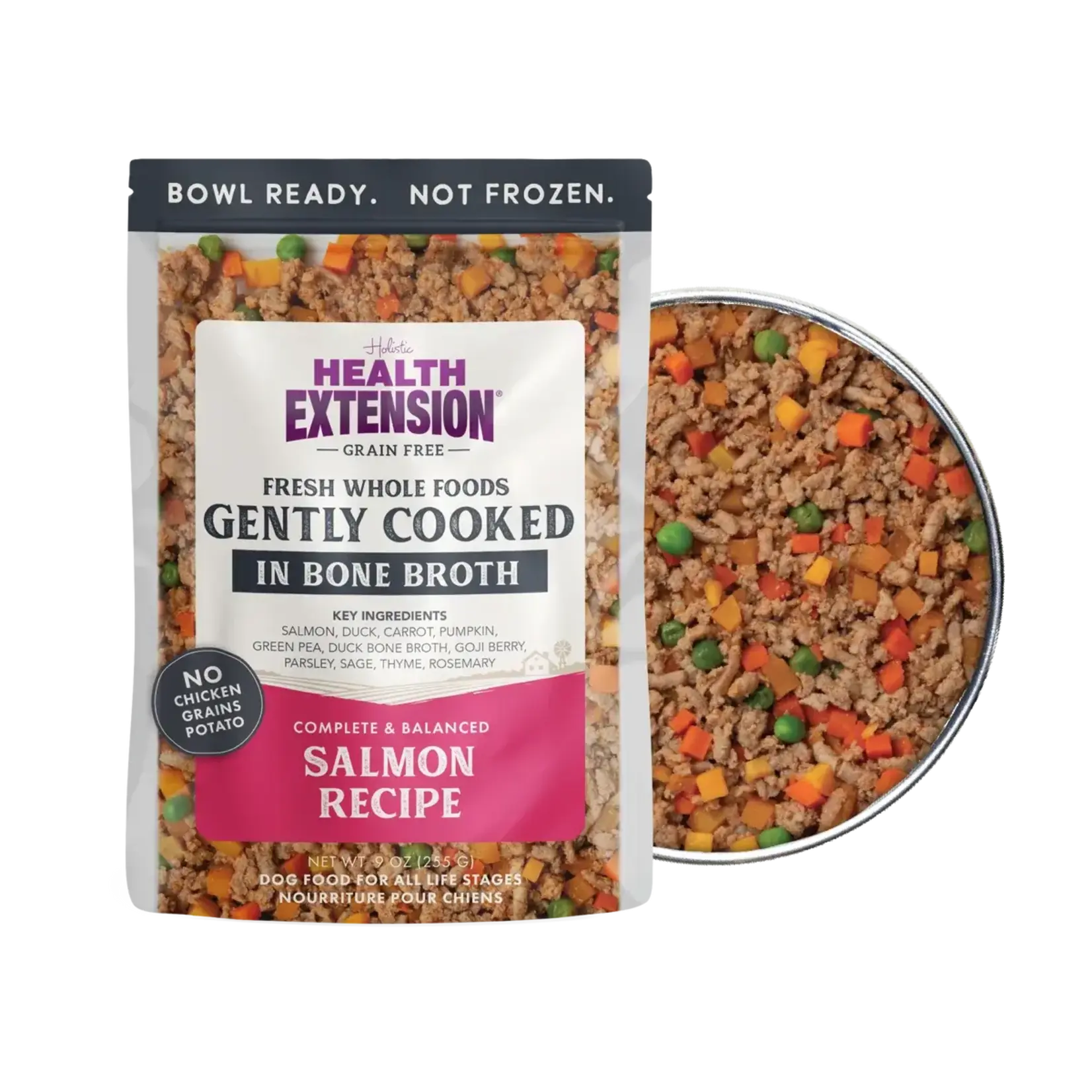 Health Extension Gently Cooked Grain-Free Salmon Recipe Wet Dog Food 9 oz