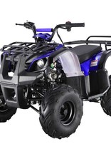 TMS 125D ATV