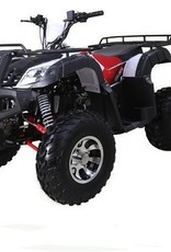 TMS Bull 200 ATV