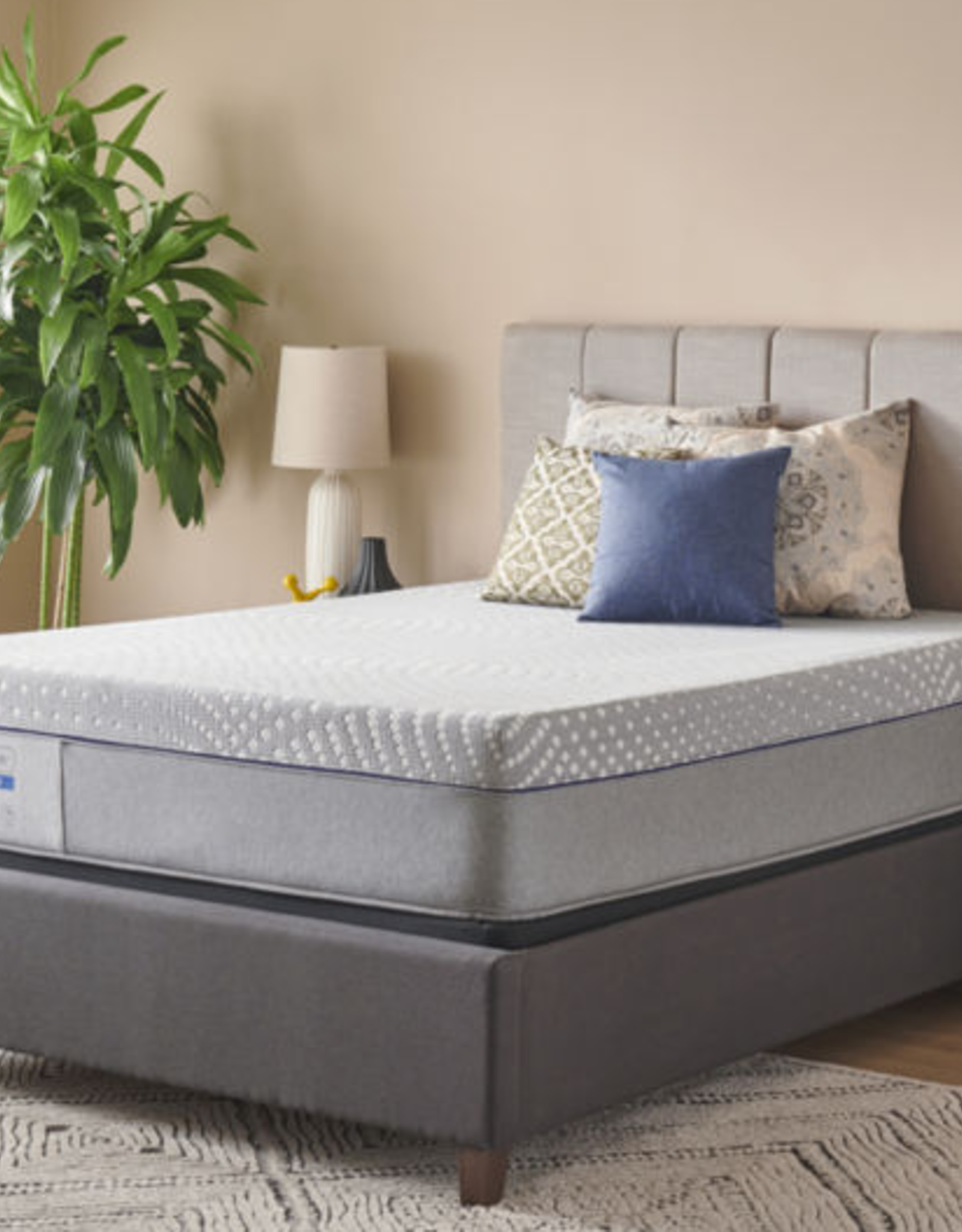 Sealy Sealy Lacey FIRM Mattress : Queen