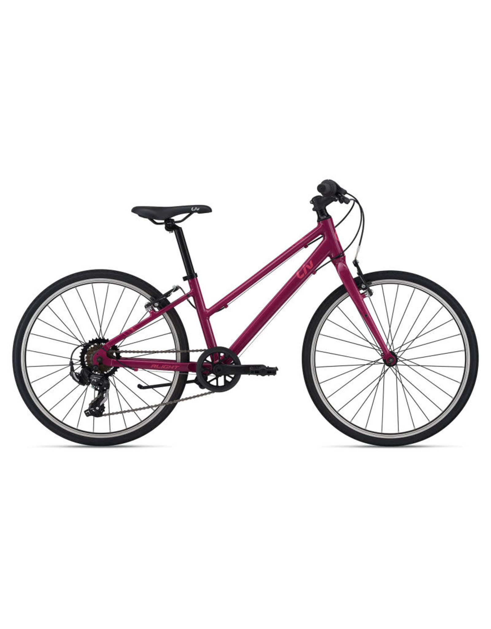 2021 Liv Alight 24 Purple Providence Bicycle