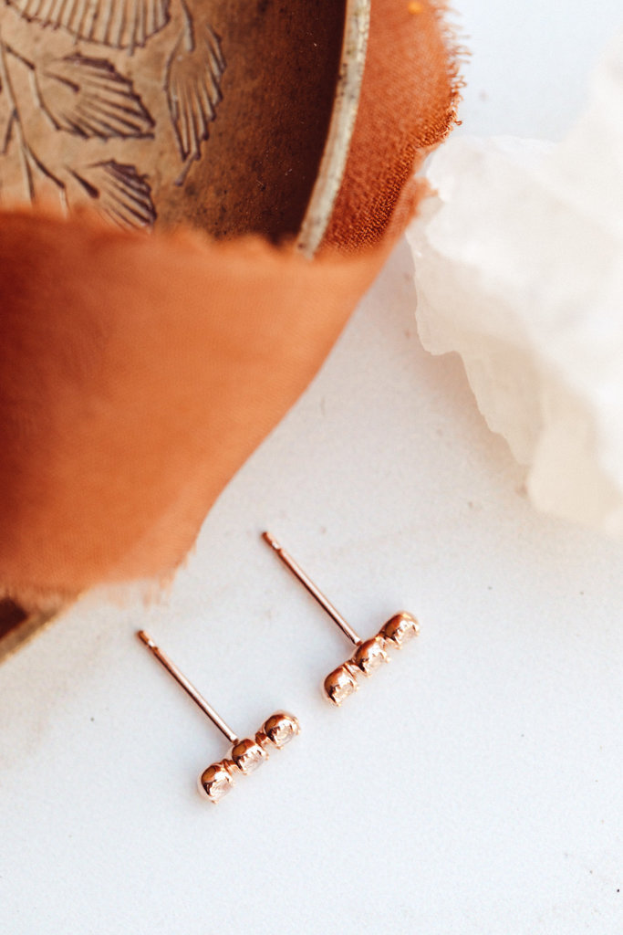 Buy Leaf Trail Rose Gold Plated Sterling Silver Earrings by Mannash™  Jewellery