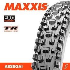 MAXXIS Assegai 29 x 2.50 3C Terra EXO TR Fold 60TPI E-25