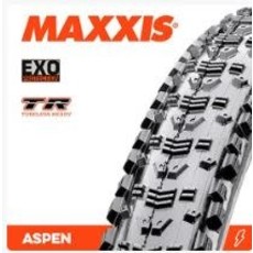 MAXXIS Maxxis Aspen 29x2.10 Exo TR Fold 120TPI