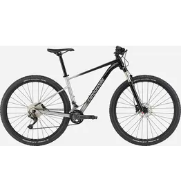 Cannondale Cannondale Trail SL 4 - Grey