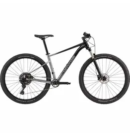 Cannondale Cannondale Trail SL 4 - Grey