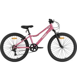 Pedal Pedal Crush 24" Kids Bike -