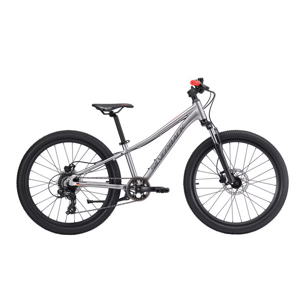Silverback Silverback Spyke 24inch Hardtail Mountain Bike- Moondust Metallic