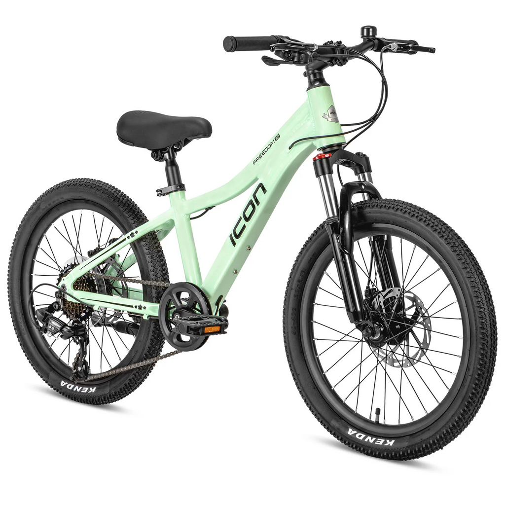 Icon Bikes Icon Freedom 20" MTB - Mint