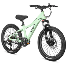 Icon Bikes Icon Freedom 20" MTB - Mint