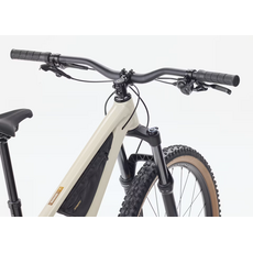 Trek 2026 Trek Roscoe 7 Gen 4-Buff Beige