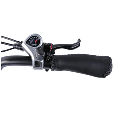 Icon Bikes ICON E-Vibe Beach E-Bike  Galaxy Black 250W
