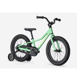 Trek 2027 Trek Precaliber 16 -Green Flash