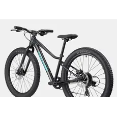 Cannondale Cannondale Kids Trail Plus 24" - BPL