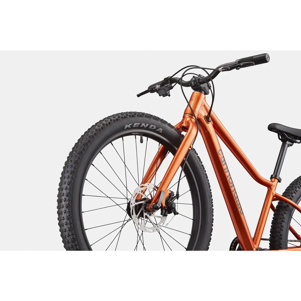 Cannondale Cannondale Kids Trail Plus 24" - FOR