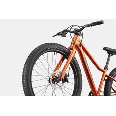 Cannondale Cannondale Kids Trail Plus 24" - FOR